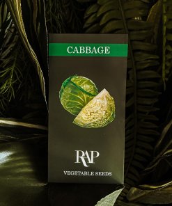 cabbage vegetable seeds
