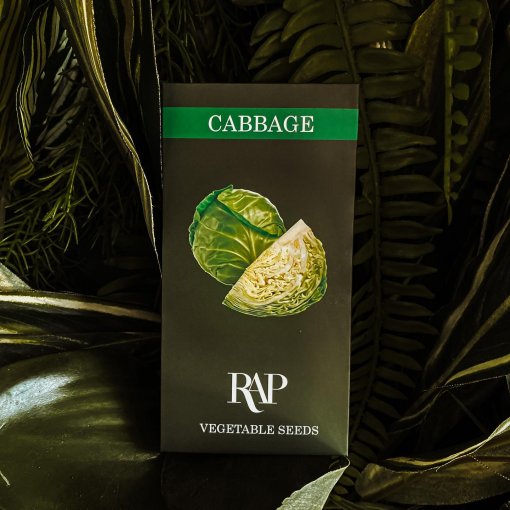 cabbage vegetable seeds