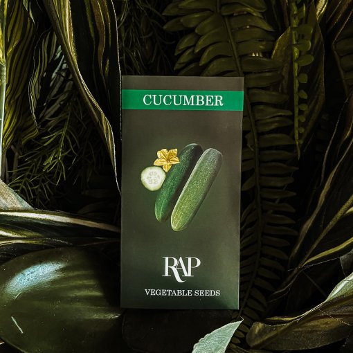 cucumber vegetable seeds