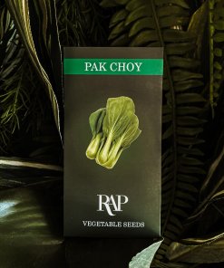 pak choy seeds