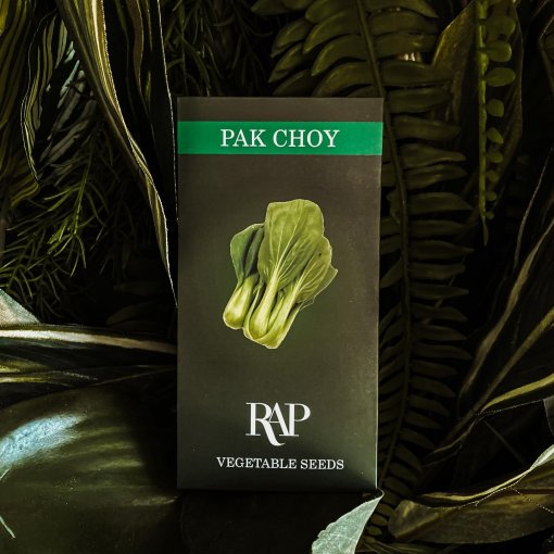 pak choy seeds
