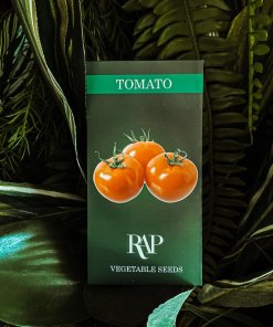 tomato vegetable seeds